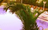 Туры в отель Yildiz Hotel Bodrum