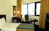 Туры в отель York International Hotel