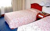 Туры в отель Bangkok City Inn