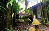 Туры в отель Bangtao Beach Chalet