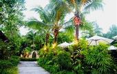 Туры в отель Bangtao Beach Chalet