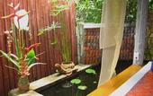Туры в отель Bangtao Beach Chalet