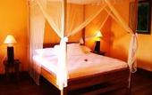 Туры в отель Zen Resort