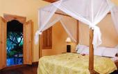 Туры в отель Zen Resort