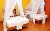 Туры в отель Zen Resort