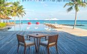 Туры в отель Noku Maldives