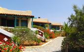 Туры в отель Zorbas Beach Village