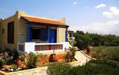 Туры в отель Zorbas Beach Village