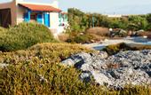 Туры в отель Zorbas Beach Village