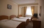 Туры в отель Zornitza Hotel Kazanluk