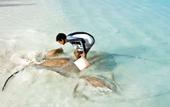 Туры в отель Banyan Tree Vabbinfaru