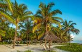 Туры в отель Baraza Resort & Spa