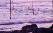 Туры в отель Barberyn Beach Ayurveda Resort