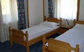 Туры в отель Family Hotel BalMax