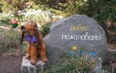 Туры в отель Пансионат Береговой