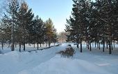 Туры в отель Березки