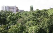 Туры в отель Sunny Varshava