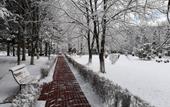 Туры в отель Вилла Арнест