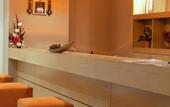 Туры в отель Villa park Mountain Residence