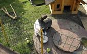 Туры в отель Гостевой дом Элиза Заркау