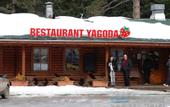 Туры в отель Yagoda Villas
