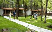 Туры в отель Villas Ropotamo