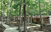 Туры в отель Villas Ropotamo