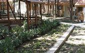 Туры в отель Villas Ropotamo