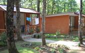 Туры в отель Villas Holiday