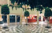 Туры в отель Occidental Ibiza