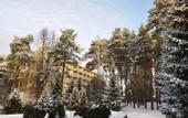 Туры в отель Санаторий Голубые Озера