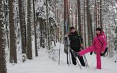 Туры в отель Денисов Мыс