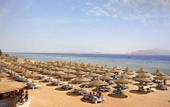 Туры в отель Baron Palms Sharm El Sheikh
