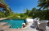 Туры в отель Baros Maldives