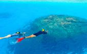 Туры в отель Baros Maldives