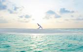 Туры в отель Baros Maldives
