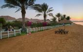 Туры в отель Barracuda Beach Resort