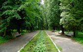 Туры в отель Санаторий имени Горького