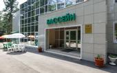 Туры в отель Кедровый бор