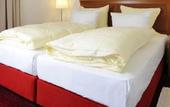 Туры в отель Vienna Townhouse Batschari Baden-Baden