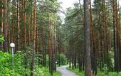Туры в отель Лазурный (Новосибирск)