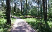 Туры в отель Лазурный (Новосибирск)