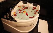 Туры в отель Лихвинские воды