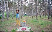 Туры в отель Магарач