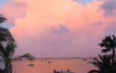 Туры в отель Bayside Inn Key Largo