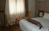 Туры в отель BC Burhan Cacan Hotel & Spa & Cafe