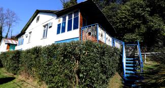 Мия Без звезд