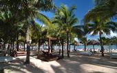Туры в отель Grand Oasis Palm