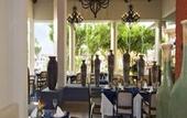 Туры в отель Oasis Palm