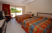 Туры в отель Oasis Palm